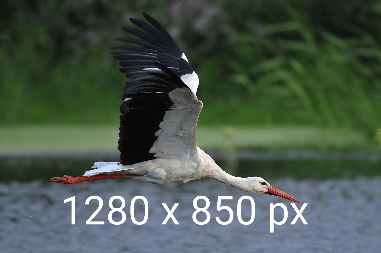 1280x850px