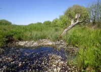 Rezerwat przyrody Jestem na pTAK! uroczysko Księżycowe Łąki