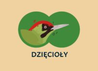 Jak odróżnić dzięcioły?