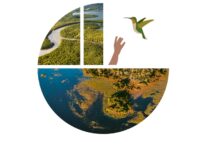 World Wetlands Day