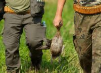 Koniec polowań na ptaki